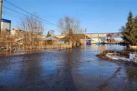 Воздействие отсутствия воли растительности на поднятие уровня воды в реках и озерах