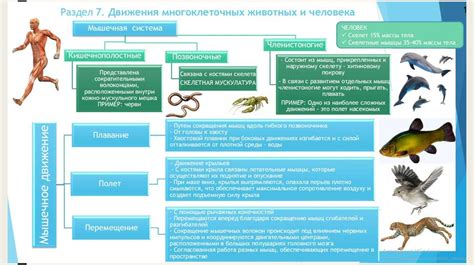 Воздействие отсутствия жесткого скелета на рыбу: преимущества и недостатки