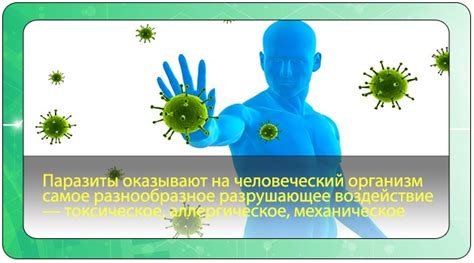 Воздействие паразитов на организм человека: как они изменяют его функции