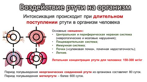 Воздействие паров ртути на организм