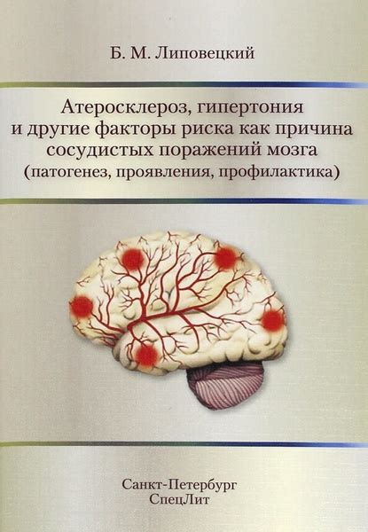 Воздействие патологий и инфекций на развитие поражений мозга