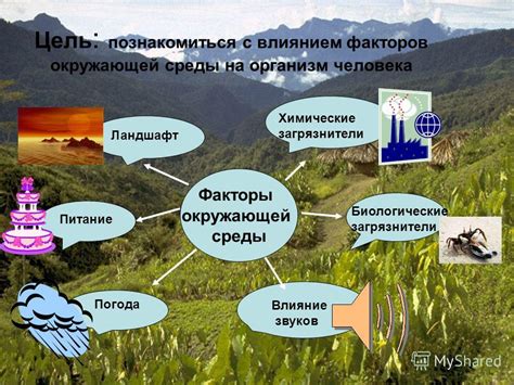 Воздействие природной среды на экономику и образ жизни народов славянского происхождения