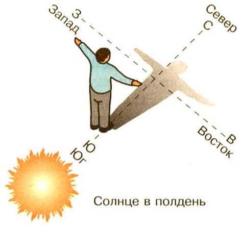 Воздействие солнца в 10 часов утра на процесс фотосъемки и освещение