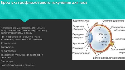 Воздействие ультрафиолетового излучения на состояние человеческого организма