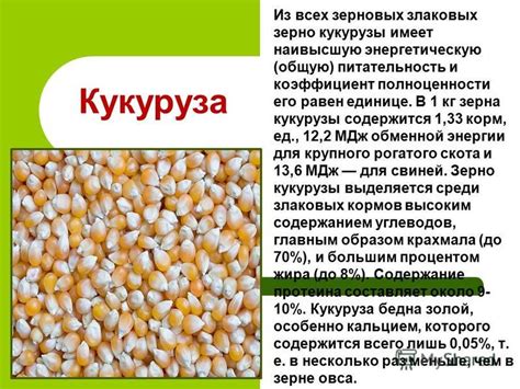 Воздействие цельного зерна кукурузы на общую физическую кондицию птиц