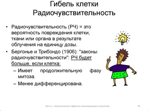 Воздействие экспозиции рентгеновских лучей на организм едва родившихся детей