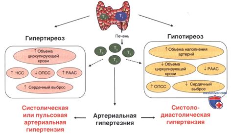 Возможная взаимосвязь между щитовидной железой и состоянием суставов