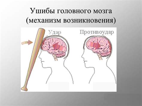 Возможности восстановления зрительных возможностей после повреждения головного мозга