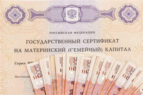 Возможности использования маминого капитала в сфере предпринимательства