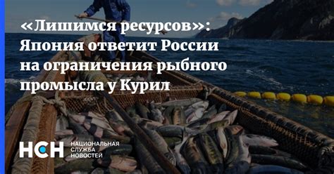 Возможности и ограничения рыбного питания для панцирных обитателей