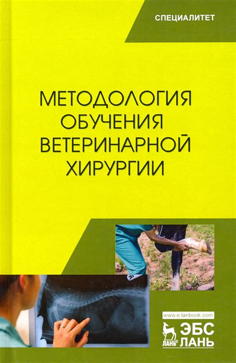 Возможности обучения ветеринарной медицине для людей после 40