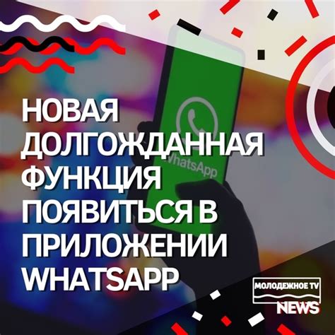 Возможности применения отобранных текстовых сообщений в мессенджере WhatsApp: полезные рекомендации