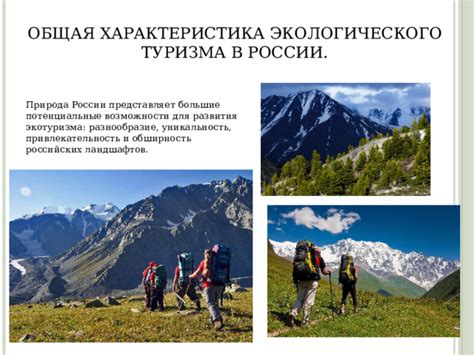 Возможности экологического туризма в регионах, где обитает дикая природа
