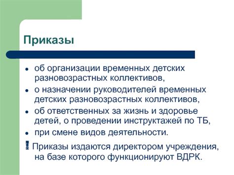 Возможность назначения двух временных руководителей организации