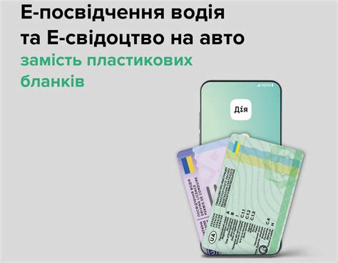 Возможность получения водительских прав без официального места жительства