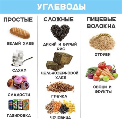 Возможные аллергические реакции при употреблении злаковых продуктов у собак