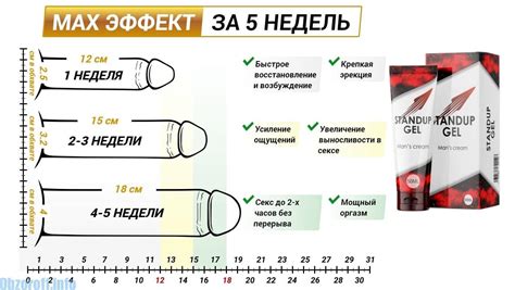 Возможные бонусы наличия дополнительного полового органа у мужчин