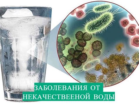 Возможные заболевания, вызываемые загрязненной водой