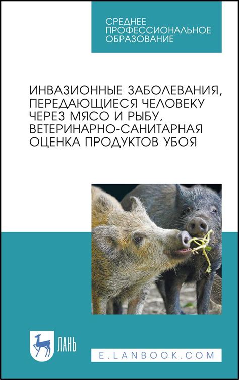 Возможные заболевания, передаваемые через мясо из дикой природы