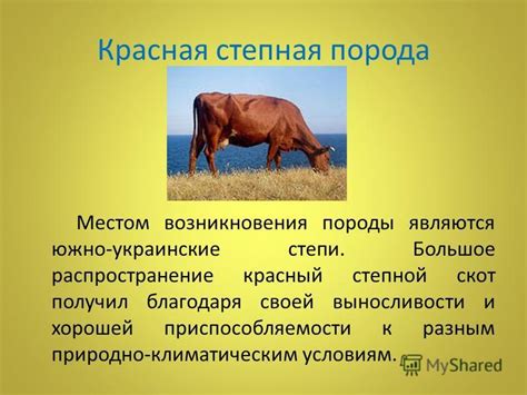 Возможные изменения содержания полезных компонентов в молоке при отсутствии кормления