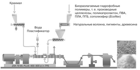 Возможные негативные последствия употребления просроченного крахмала из кукурузы