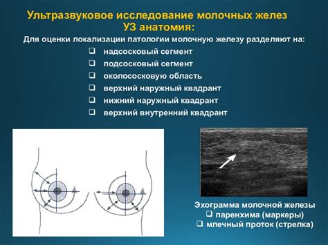 Возможные показания для проведения обследования молочных желез в Йошкар-Оле