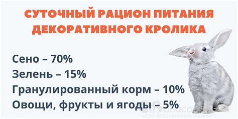 Возможные преимущества включения ботвы в рацион кролика