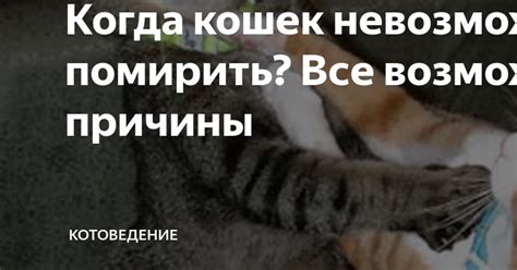 Возможные причины, по которым невозможно отследить выключенный телефон