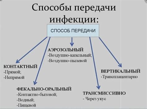 Возможные пути передачи и предотвращение распространения паразитического организма