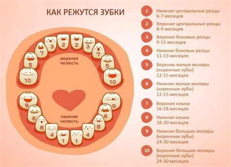 Возможные трудности при дыхании ротом малыша в возрасте года