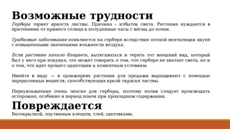 Возможные трудности при отделке внешней стены в период осени