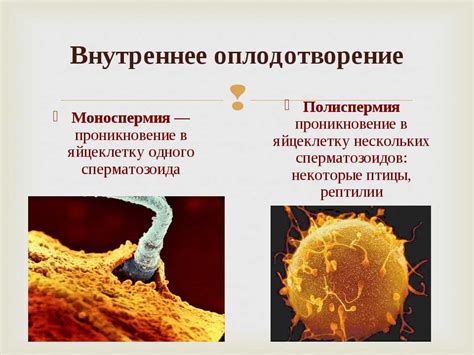 Возможные факторы, влияющие на невозможность оплодотворения яйцеклетки при методе ЭКО