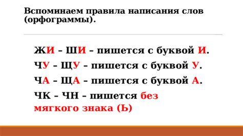 Возникновение и правила использования мягкого знака после звуков сибилянтов