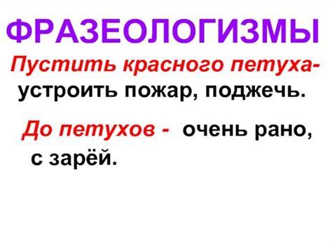 Возникновение и происхождение фразеологического выражения "Очевидно, где собака пороется"