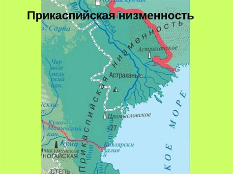 Волжско-Каспийская низменность: обилие разнообразия живых существ