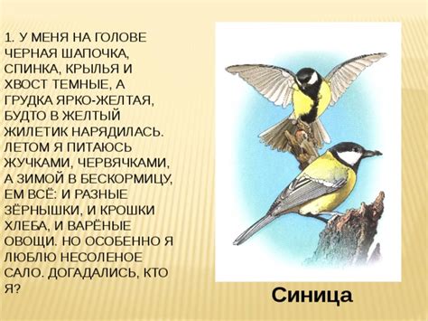 Волшебный мир животных: встреча с пушистыми и пернатыми друзьями