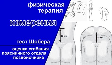 Вопросы безопасности и ограничения при употреблении имбиря для пациентов с гипертонией