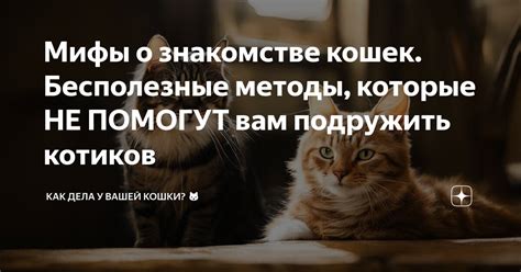 Воспоминания о предыдущих существованиях: методы, которые помогут вам открыть личную историю