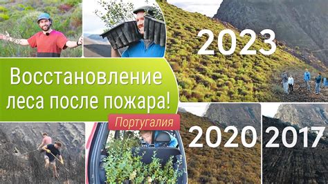 Восстановление после пожара: обширная задача восстановления и вещественные работы