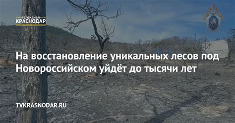 Восстановление уникальных развалин: их значение для истории