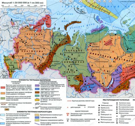 Восточные районы с изобилием богатства - где можно натолкнуться на роскошных собак