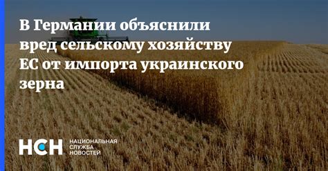 Вред, причиняемый краллами турсина сельскому хозяйству