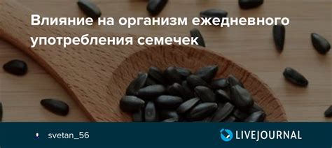 Вредное воздействие подсолнечных семечек на организм собак