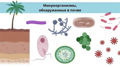 Вредные микроорганизмы, препятствующие брожению