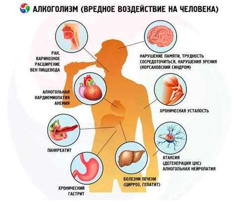 Вредные привычки и их воздействие на организм