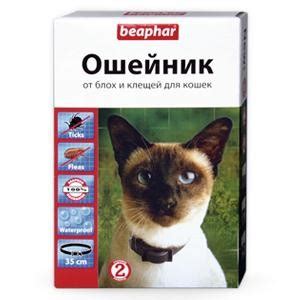 Вред и опасность, вызываемые паразитами на мехе домашних питомцев