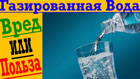 Вред от употребления газированной воды собаками