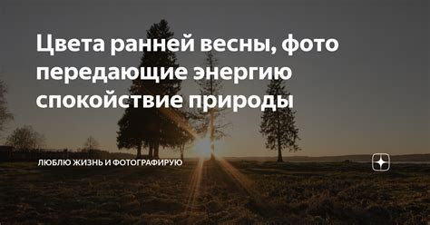 Время перемен: известные фразы, передающие идею весны как символа изменений