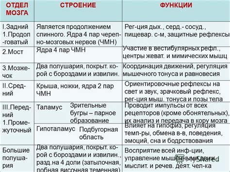 Вторая реликва: расположение и особенности