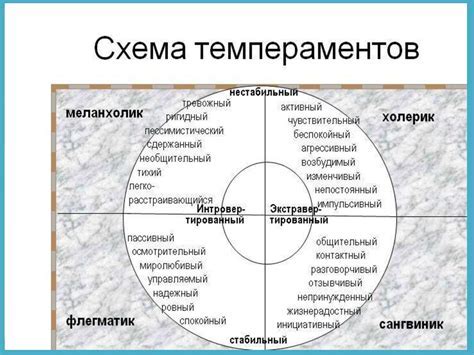 Выбор заведения и особенности атмосферы
